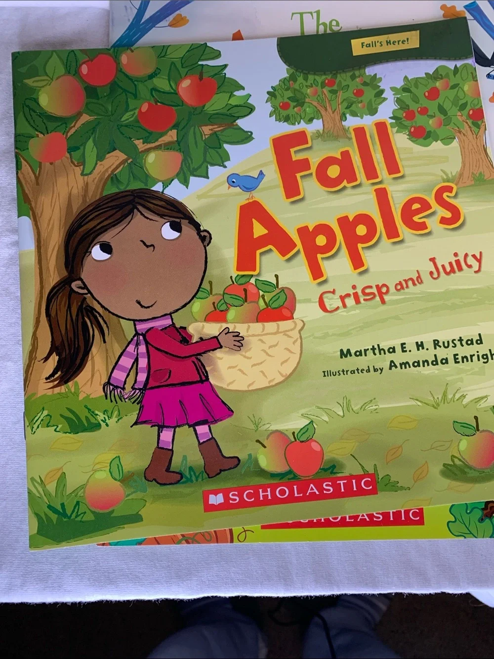 Scholastic Childrens book Bundle